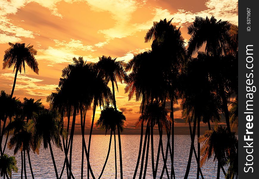 Tops of palm trees on a background of a sunset sky. Tops of palm trees on a background of a sunset sky