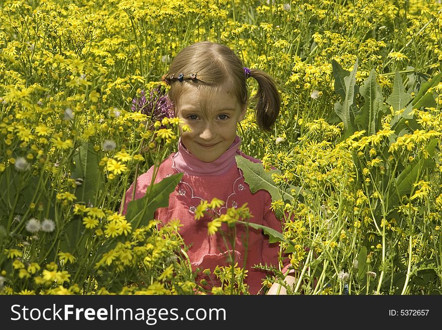 The Girl On A Yellow Background