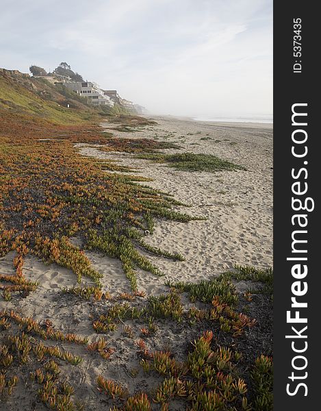 Colorful beach, Santa Cruz, California