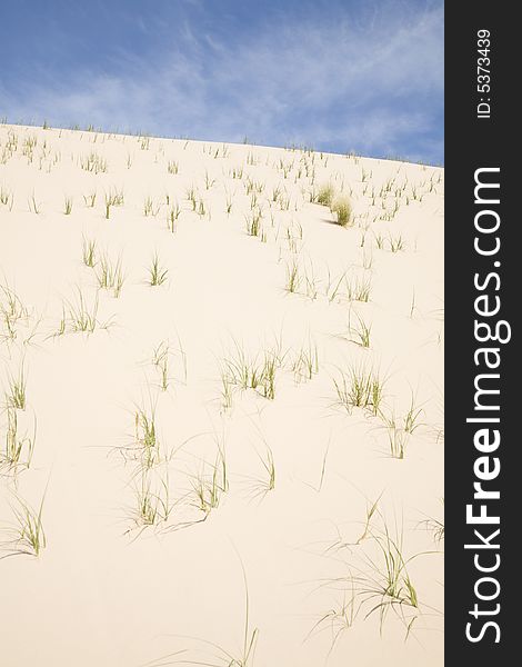 Grassy sand dune in the Mojave desert, Keslo California. Grassy sand dune in the Mojave desert, Keslo California.