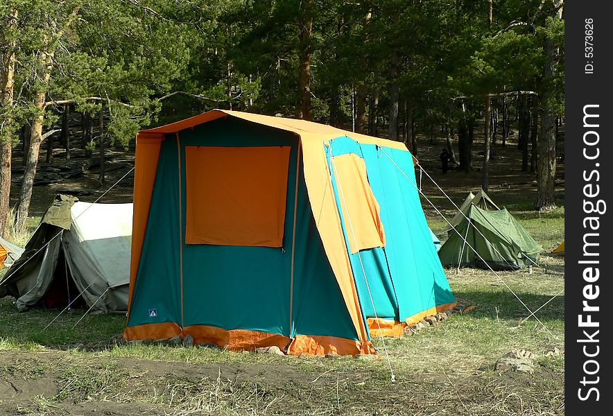 Bright tent in the forrest