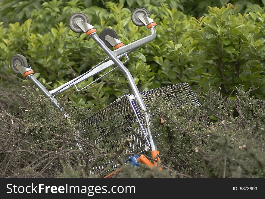 Shopping cart threw in bushes.