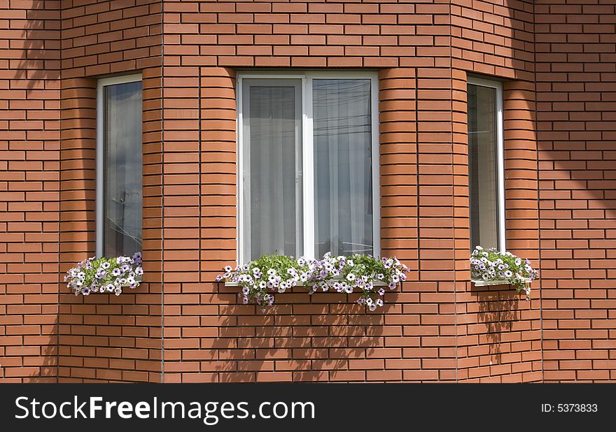 Windows of house with flowerpots on window-sills