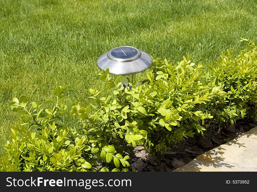 A garden lantern is in a grass