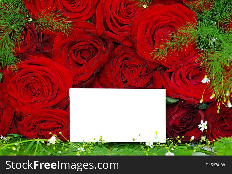 Message on a  rose  background. Message on a  rose  background