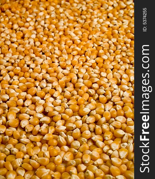 A background of corn beans with a shalow depth of field