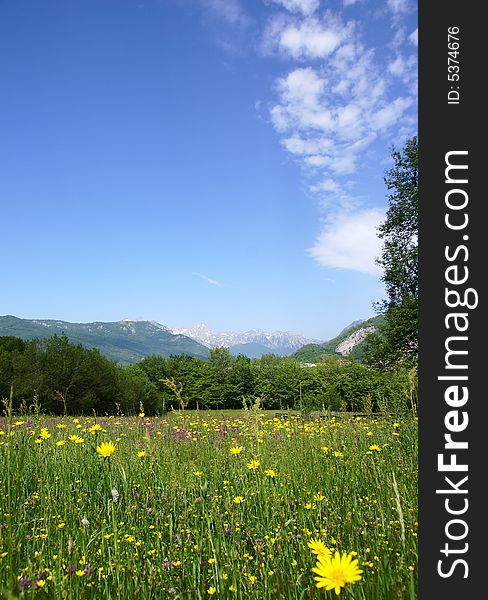 Tranquil rural scene with a meadow and mountains