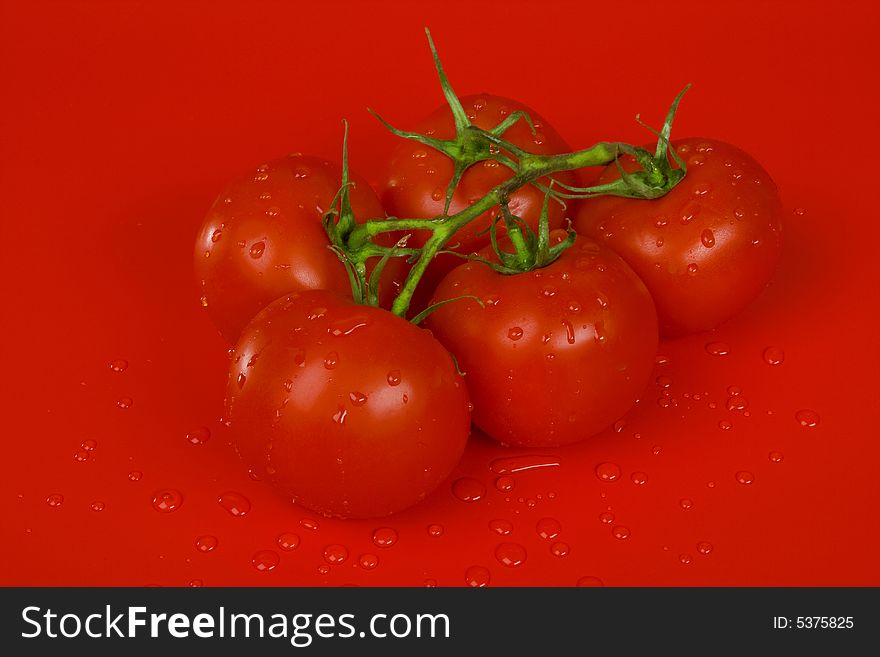 Tomatoes on red, water drops