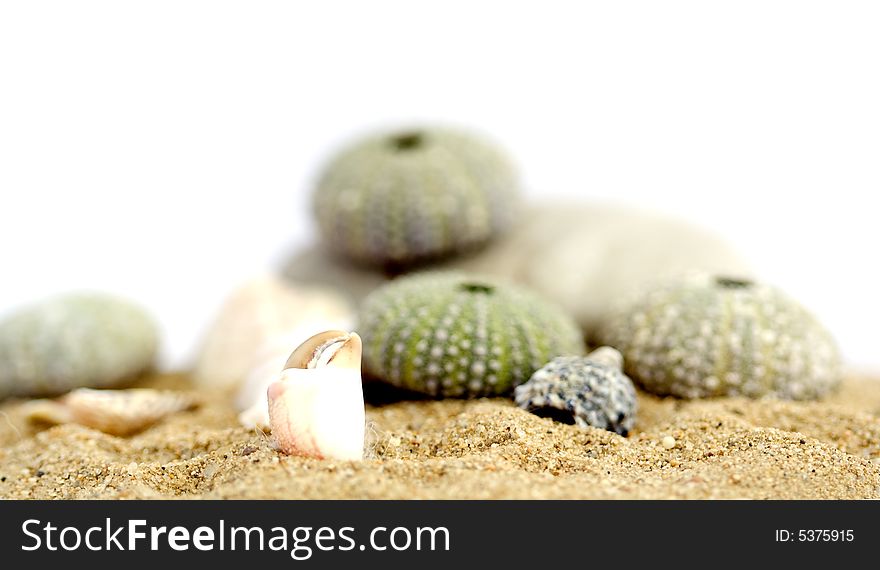 Sea detail isolatet on white background. Sea detail isolatet on white background