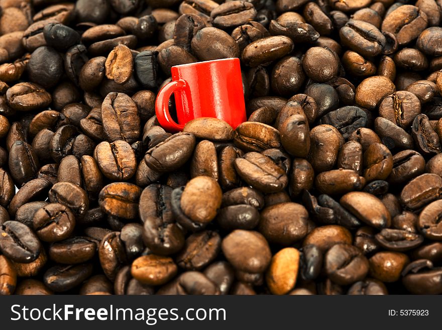 Tiny noggin among the coffee-beans. Tiny noggin among the coffee-beans