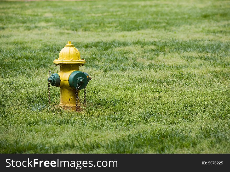 Fire Hydrant Yellow Green