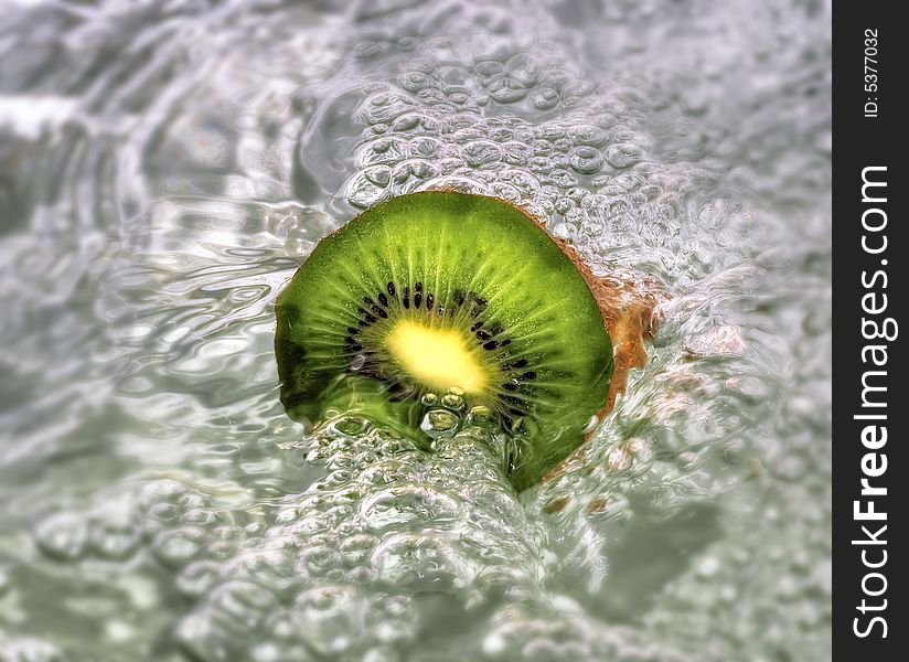 Kiwi in a raging stream of water. Kiwi in a raging stream of water