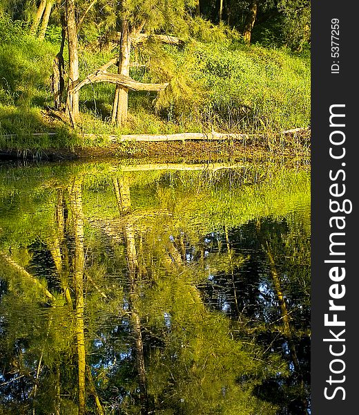 This ia a little cove in a little lake near castlereigh NSW australia.In the morning the water can be that still it reflects like glass. This ia a little cove in a little lake near castlereigh NSW australia.In the morning the water can be that still it reflects like glass.