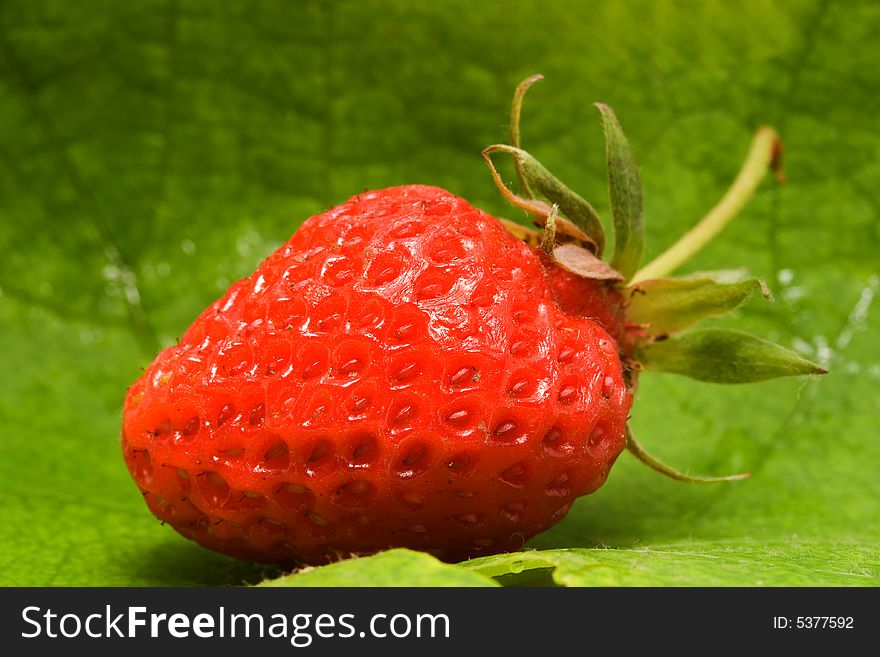 Strawberry on sheet