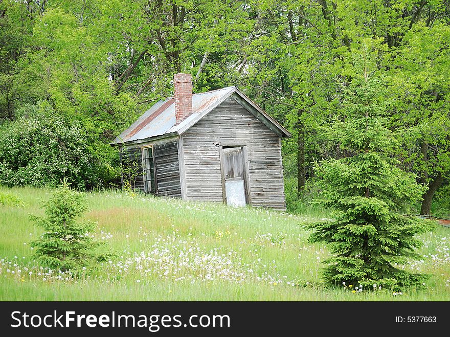 Old cottage home nestled in the woods