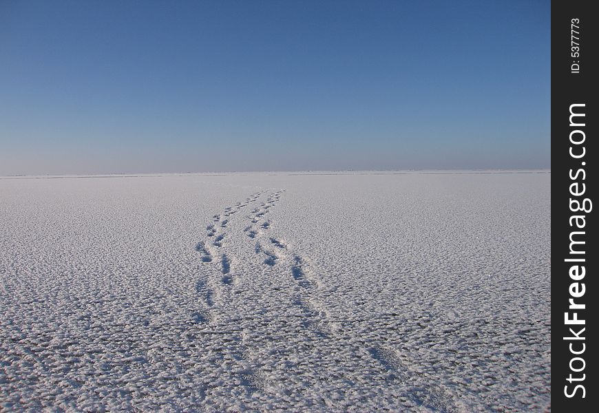 The tracks. The Baikal lake. Russia, 2008.