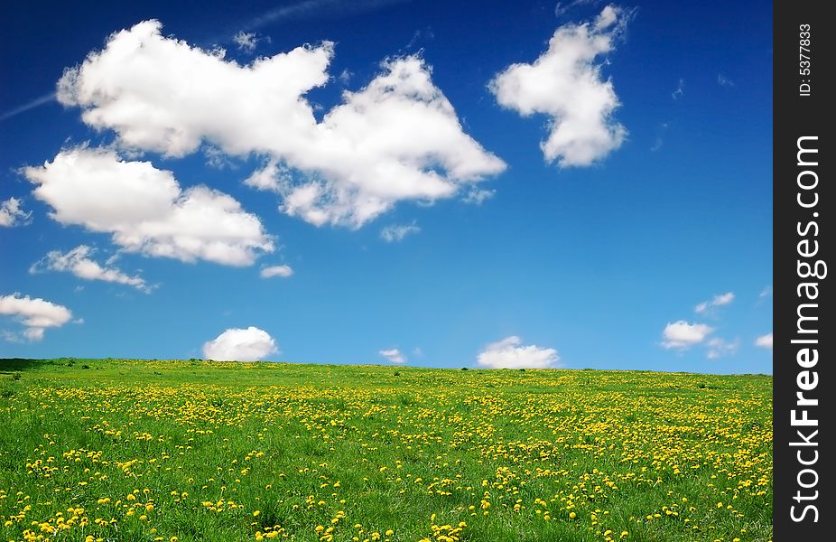 Landscape with yellow dandelions, green grass and blue sky