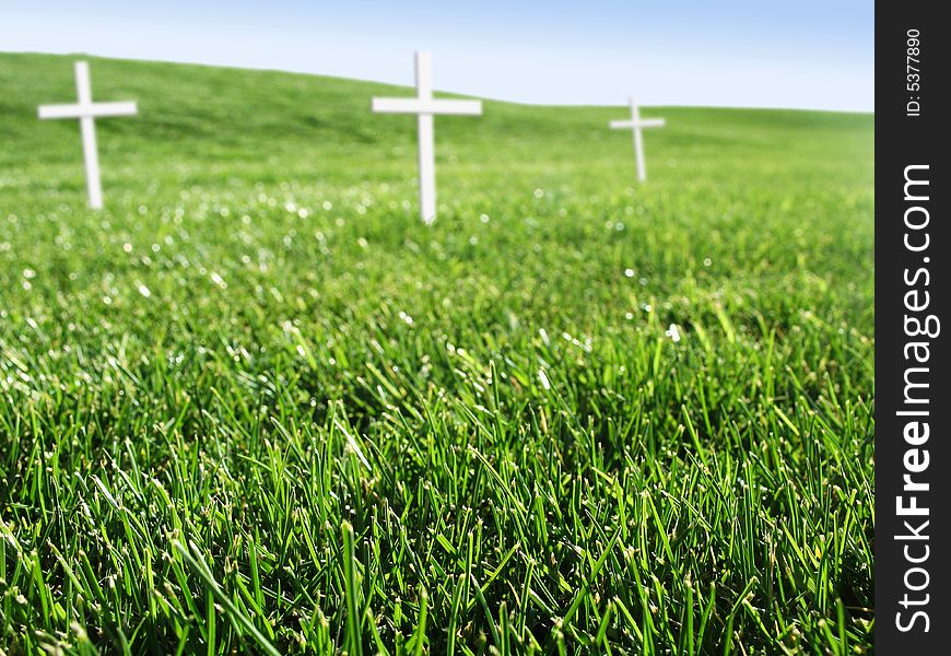 White crosses in open field of grass with room for text. White crosses in open field of grass with room for text