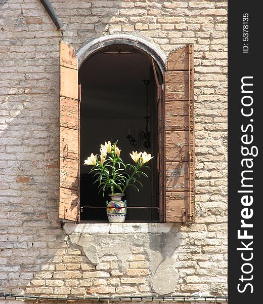 View of window with vase flowers in Venice. View of window with vase flowers in Venice