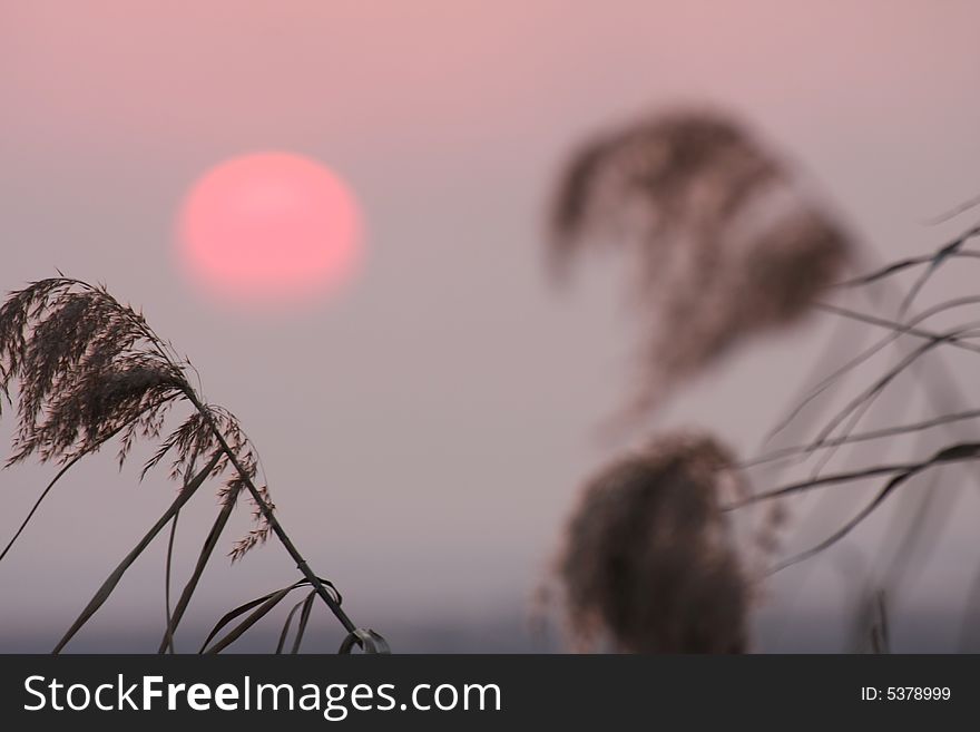 This is sunset in poyang lake. This is sunset in poyang lake