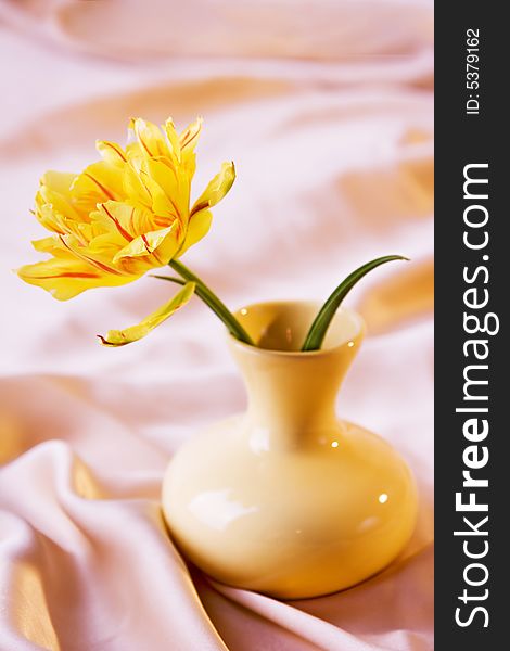 Yellow tulip in yellow vase on beige background. Yellow tulip in yellow vase on beige background