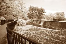 The Infrared Dreamy Scenery Stock Images The Infrared Dreamy Scenery Stock Images