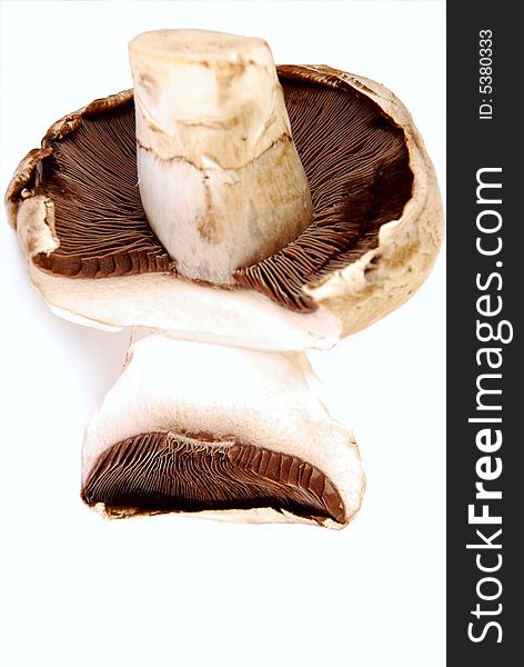 Upside-down mushroom on white background