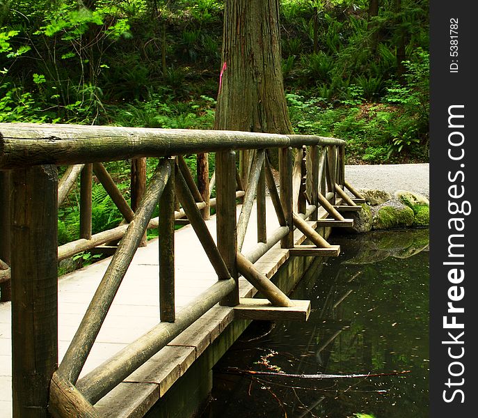 Wood bridge over a small pond on a forest