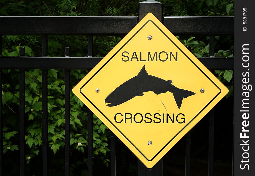 Salmon crossing yellow warning sign