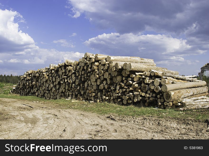 The prepared forest product for export. The prepared forest product for export