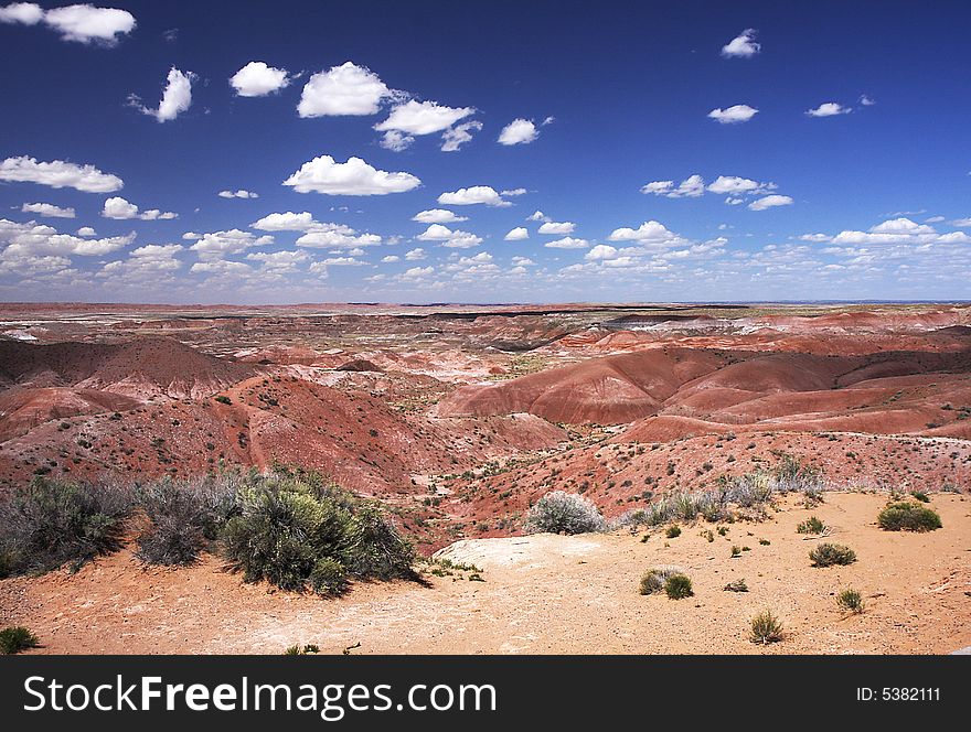View of panorama Painting Desert in  Petrified Forest NP