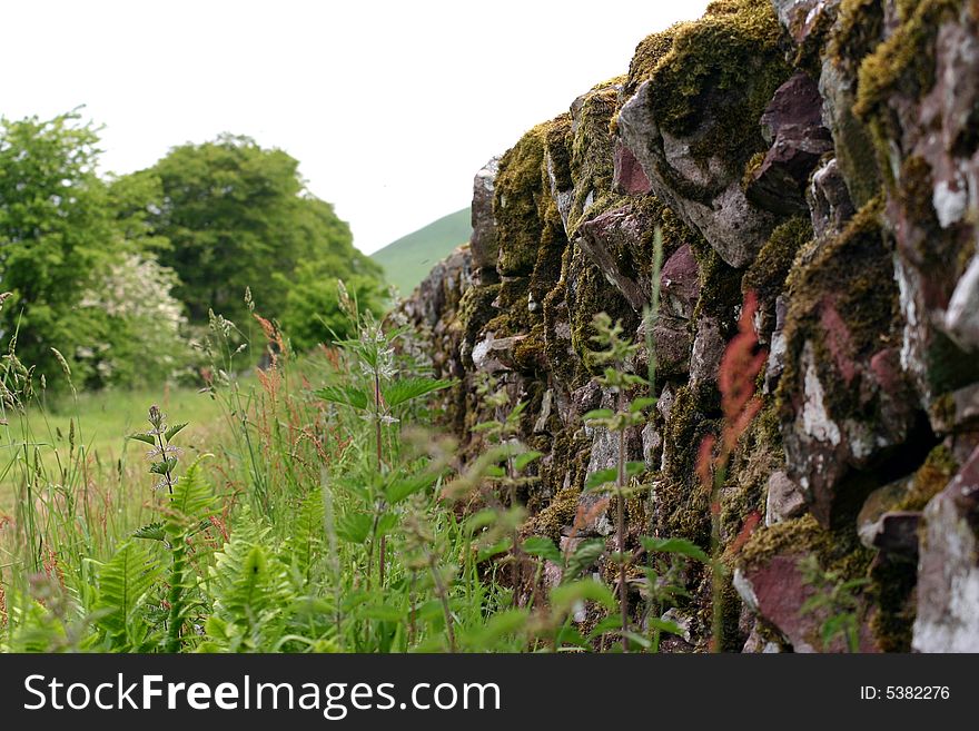 Traditional stone wall in the country of Scotland. Traditional stone wall in the country of Scotland