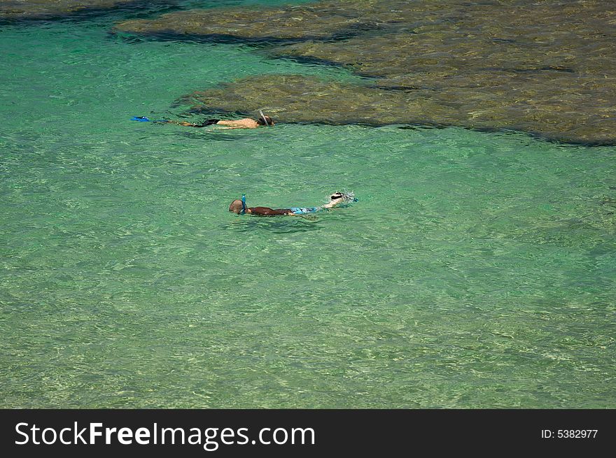 Snorkelers in the Clear Tropical Waters