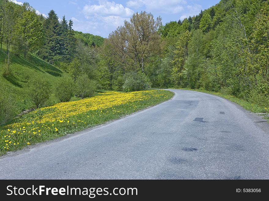 Portrait photo of a road out in the countryside. Portrait photo of a road out in the countryside