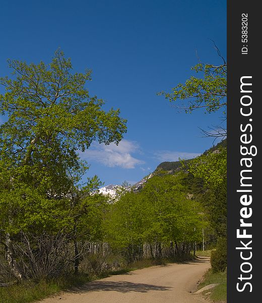 Spring aspen trees along a road framing a mountain in the Colorado rockies. Spring aspen trees along a road framing a mountain in the Colorado rockies.