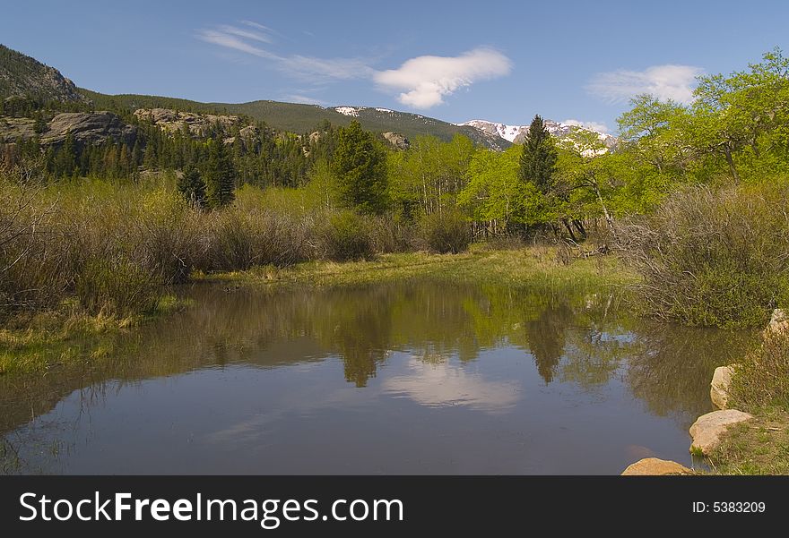 Spring Pond in the Rockies