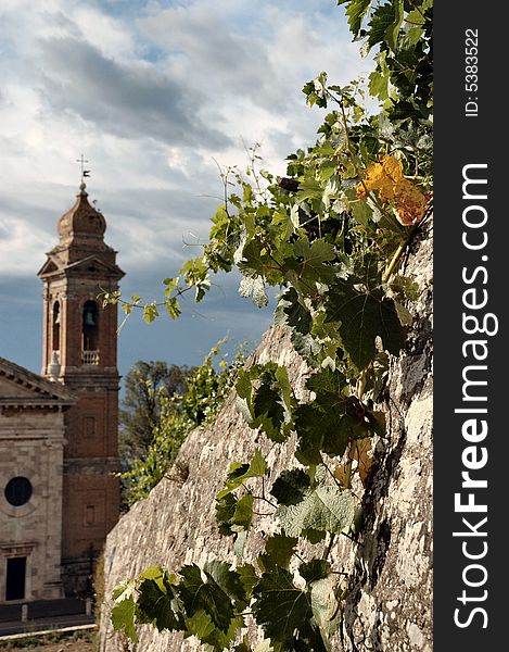 Snapshot of Montalcino, siena, italy