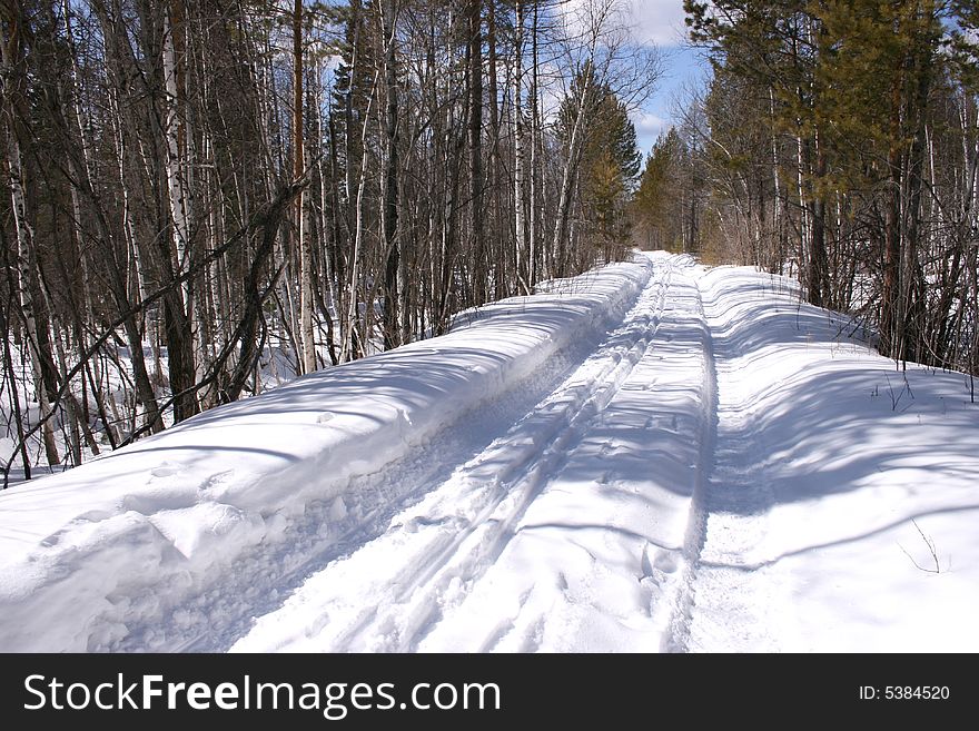 The winter snow-covered road to a wood escapes afar. The winter snow-covered road to a wood escapes afar