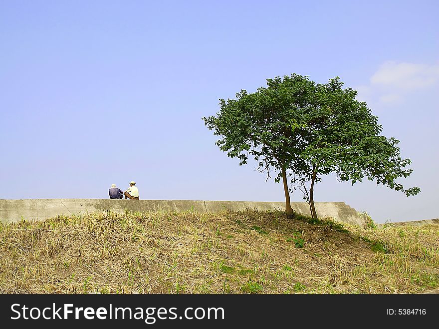 Relax Under The Trees