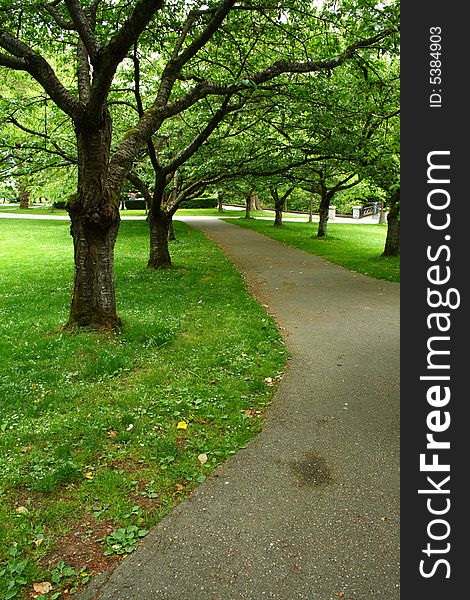 Walkway in the middle of a park