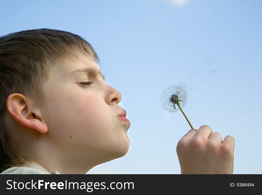 Boy blowing dandelion seeds away. Boy blowing dandelion seeds away