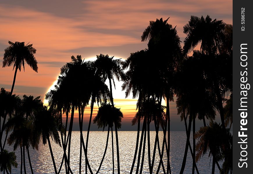 Tops of palm trees on a background of a sunset sky. Tops of palm trees on a background of a sunset sky