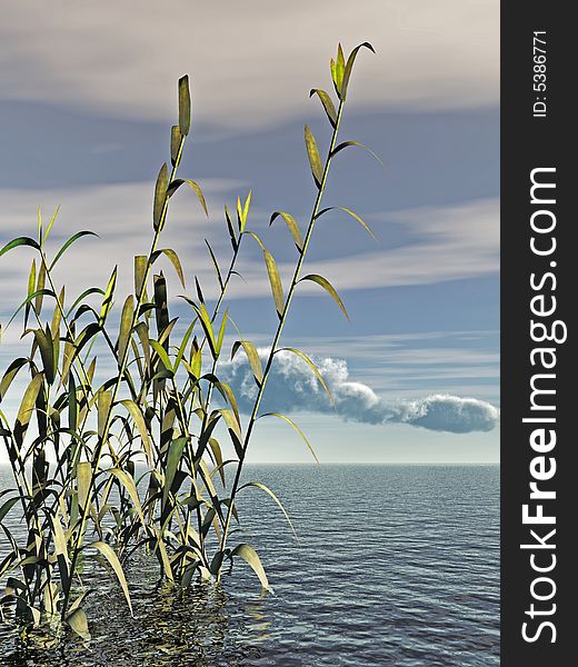 Water plants and blue sky - digital artwork.