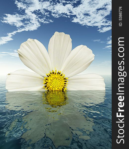 Beautiful flower with reflection on water - digital artwork. Beautiful flower with reflection on water - digital artwork.