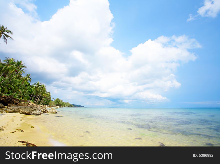 View of nice tropical empty sandy beach with some palm. View of nice tropical empty sandy beach with some palm