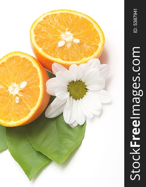 Cut orange,nice juicy details and white flower against white background. Cut orange,nice juicy details and white flower against white background