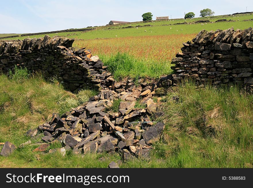 Collapsed Dry Stone Wall