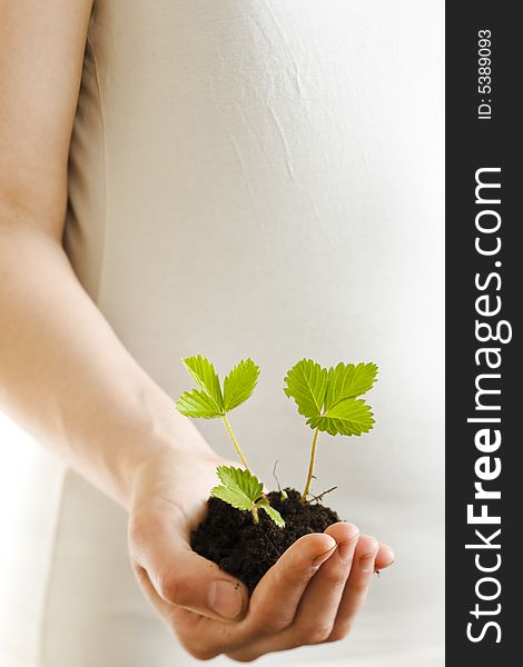 Girl holding a strawberry plant on her hand