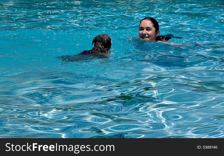 Small puppy swimming in blue pool to girl. Small puppy swimming in blue pool to girl