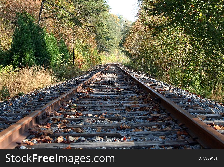 Railway track in the forest